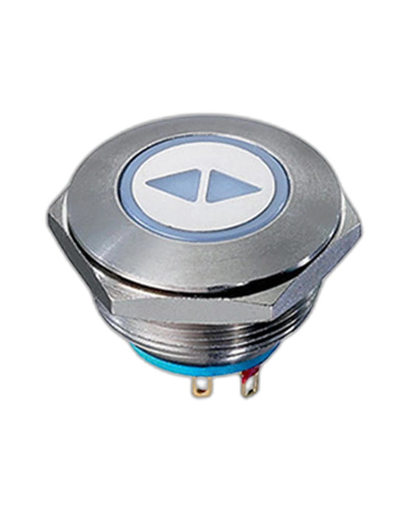Panel Switches AV9SLD2482011K